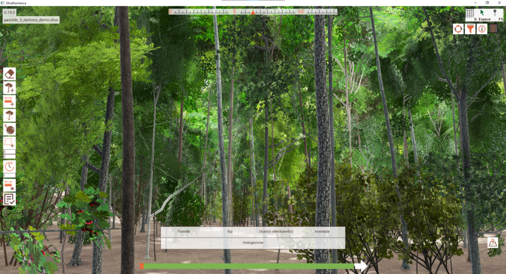 Capture d'écran du logiciel montrant une forêt créée numériquement